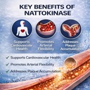 ascilia-ultimate-nattokinase-10800-fu-na-4.jpg