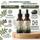 2-step-blend-of-fulvic-acid-wormwood-clo-3.jpg