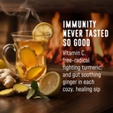 flavcity-immunity-tea-powder-ginger-turm-3.jpg