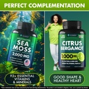citrus-bergamot-sea-moss-capsules-bundle-3.jpg