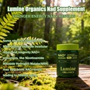 1pcslumine-organics-nad-supplement-for-e-2.jpg