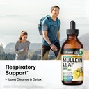 bio-krauter-lung-detox-tincture-4-fl-oz--6.jpg