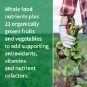 garden-of-life-multivitamin-for-family-z-4.jpg
