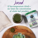 garden-of-life-raw-organic-greens-superf-4.jpg