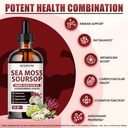 sea-moss-liquid-drops-4-fl-oz-organic-bl-4.jpg
