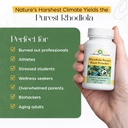 capsules-root-powder-capsules-200mg-60-c-2.jpg