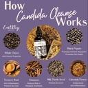 earthley-wellness-candida-cleanse-herbal-3.jpg