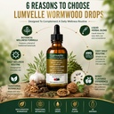 lumvelle-wild-harvested-wormwood-drops-h-5.jpg