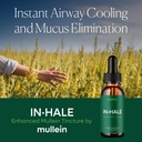 mullein-inhale-drops-for-lungs-2oz-insta-2.jpg