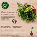 probiotic-caps-probiotics-for-women-and--4.jpg