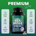 organic-sea-moss-complex-with-bladderwra-3.jpg