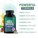 organic-sea-moss-complex-with-bladderwra-5.jpg