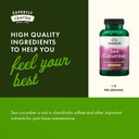 swanson-sea-cucumber---natural-supplemen-5.jpg