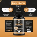 organic-turkey-tail-mushroom-capsules-fr-5.jpg