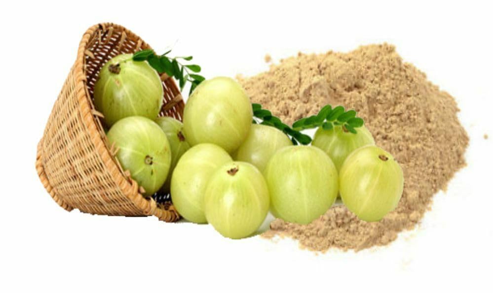 onmexa-amla-powder-3-oz-pure-amalaki-pow-2.jpg