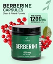 berberine-berberine-hcl-1200mg-per-servi-3.jpg