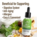 windmill-natural-vitamins-oil-of-oregano-3.jpg