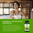 swanson-full-spectrum-kudzu-root-herbal--6.jpg