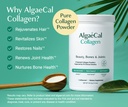 algaecal-collagen-4-clinically-supported-6.jpg