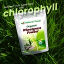 organic-wheatgrass-powder-bulk-5-lb-size-4.jpg