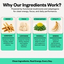 supermush-daily-energy-mushroom-gummies--4.jpg