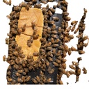 pollen-patties-for-bee-keeping-contains--2.jpg