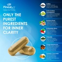 pineal-xt-gold-pineal-gland-supplement-t-4.jpg