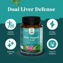 bundle-of-liver-support-nac-n-acetyl-cys-2.jpg