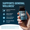 havasu-nutrition-dhea-capsules-creatine--5.jpg