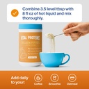 vital-proteins-pumpkin-spice-collagen-pe-4.jpg