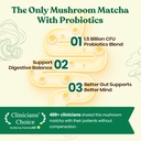 venture-pal-mushroom-matcha-powder-13-su-6.jpg