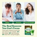 venture-pal-mushroom-matcha-powder-13-su-4.jpg