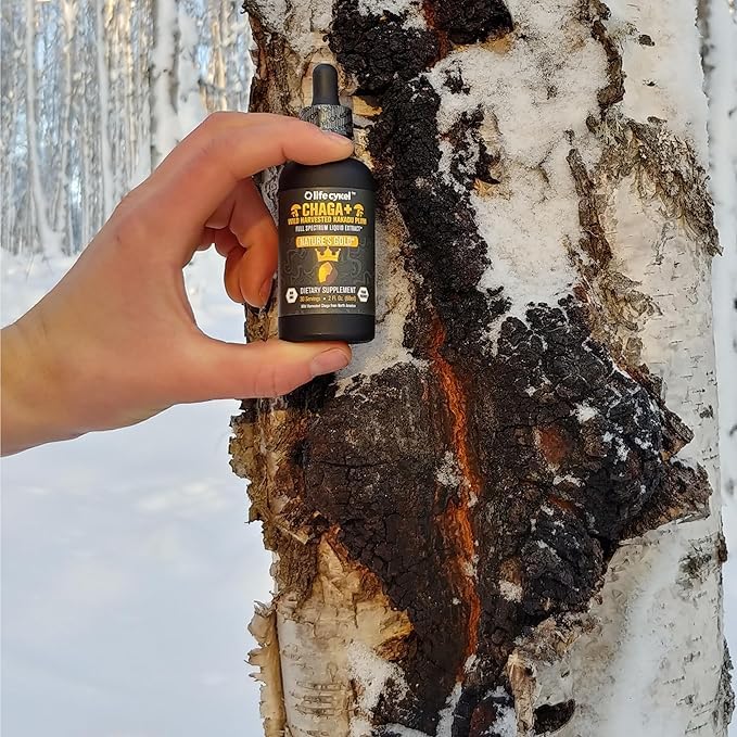 life-cykel-chaga-mushroom-extract-with-k-3.jpg