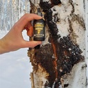 life-cykel-chaga-mushroom-extract-with-k-3.jpg