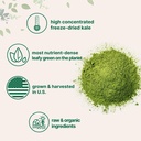 sustainably-us-grown-organic-kale-powder-4.jpg