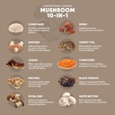 road-trip-mushroom-gummies-for-adults-su-2.jpg