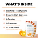 truspan-creatine-powder-with-amino-acids-2.jpg