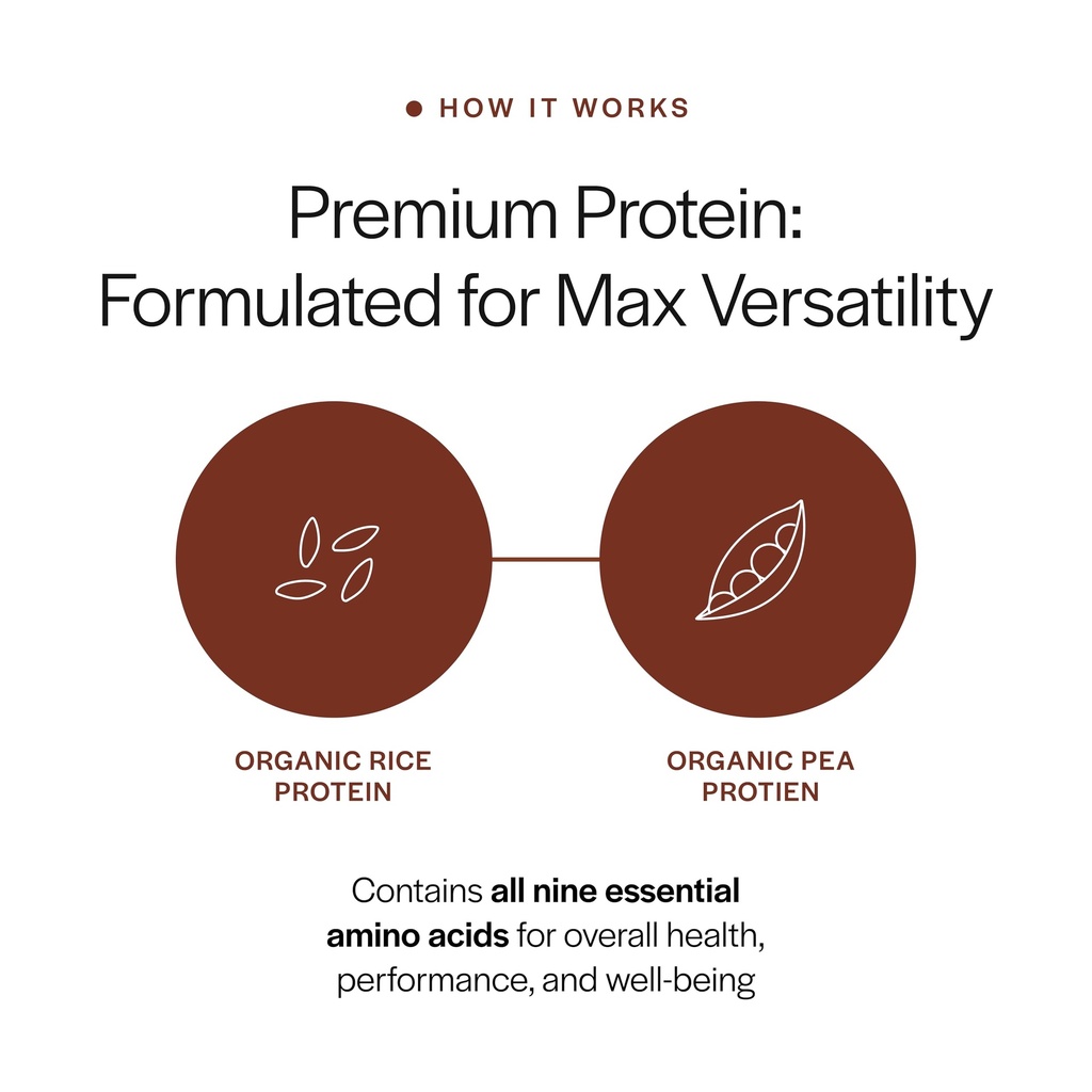 gainful-everyday-plant-protein-powder-sw-2.jpg