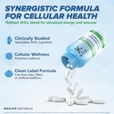 pure-spermidine-supplement-with-trihydro-5.jpg