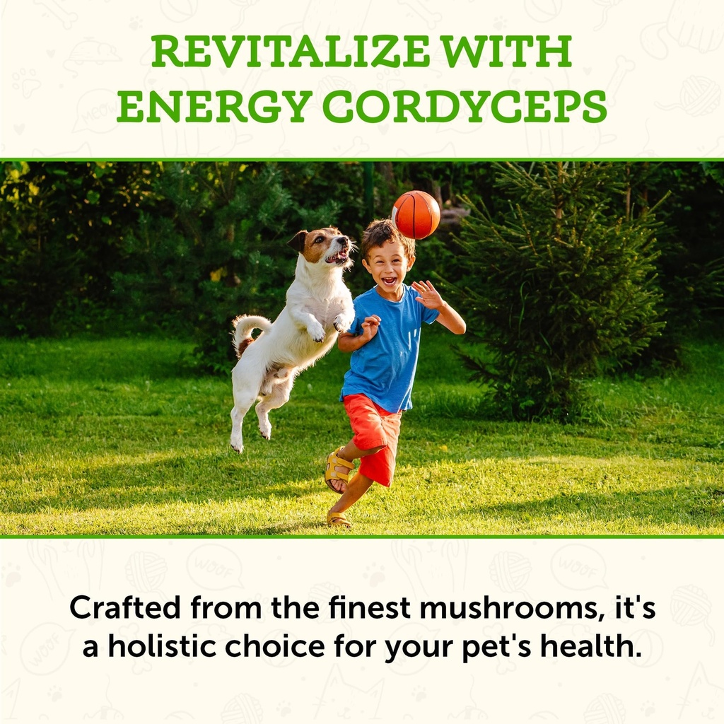 animal-essentials-energy-cordyceps-mushr-4.jpg