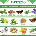 nurse-harvey-s-gastro-x-herbal-stomach-c-3.jpg