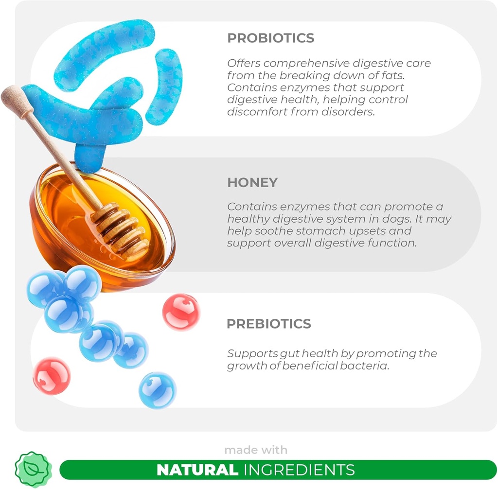 probiotics-for-dogs-digestive-health---s-4.jpg