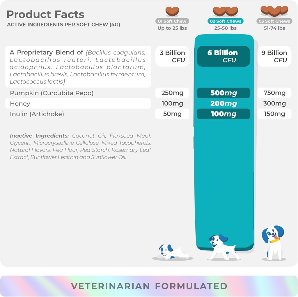 probiotics-for-dogs-digestive-health---s-6.jpg
