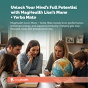 lion-s-mane-yerba-mate-capsules-4-in-1-n-4.jpg