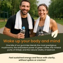 pure-shilajit-gummies-with-lion-s-mane-c-3.jpg
