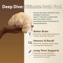 drfoster-lions-mane-supplement-capsules--5.jpg