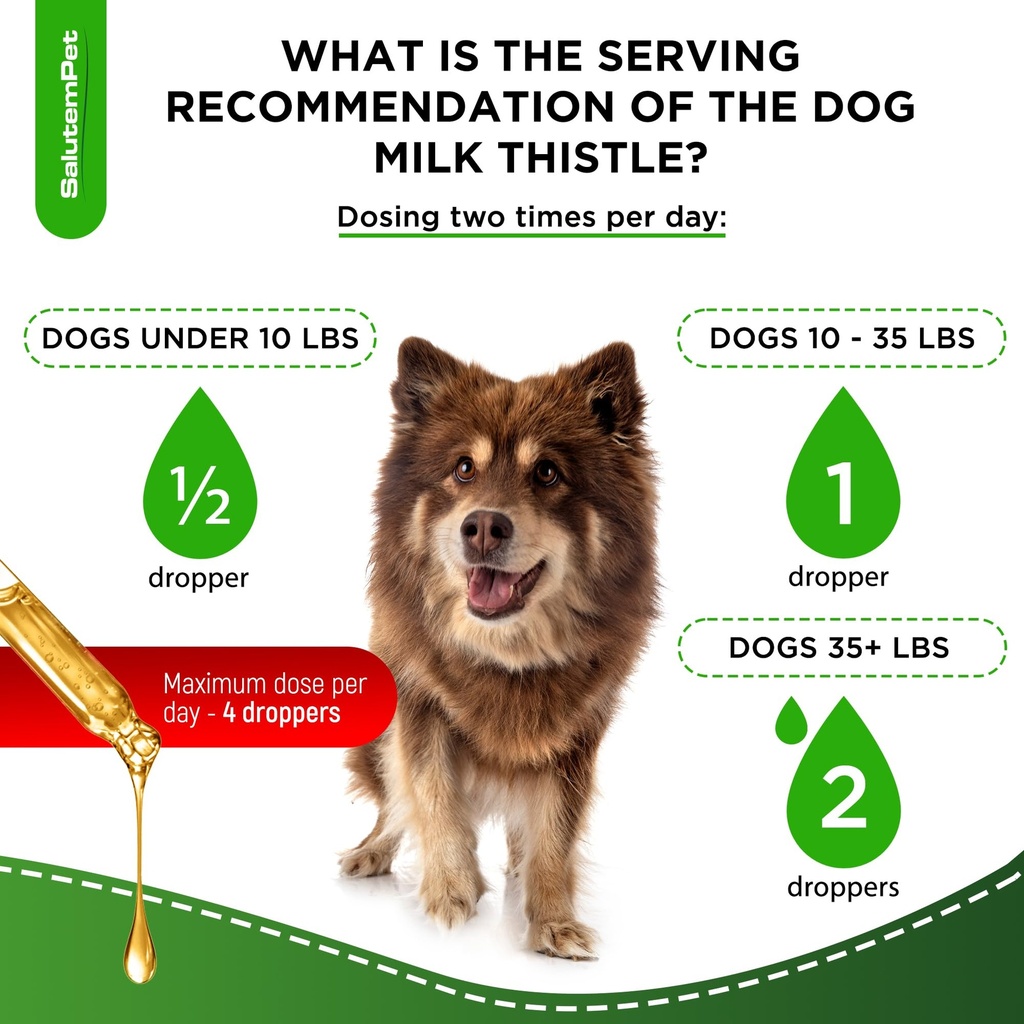 milk-thistle-for-dogs-dog-liver-suppleme-6.jpg