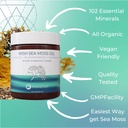 manafest-sea-moss-gel-elderberry-burdock-2.jpg