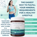 manafest-sea-moss-gel-elderberry-burdock-5.jpg