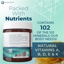 manafest-sea-moss-gel-elderberry-burdock-4.jpg